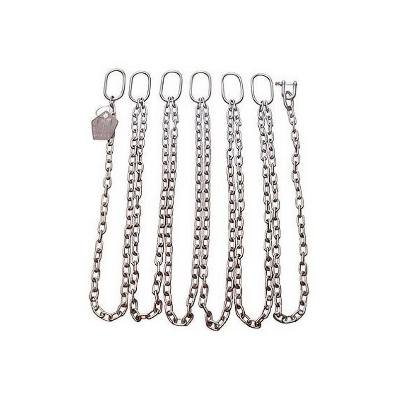 Grundfos Chaine max poids 320KG (4M) 98989666