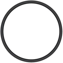 Durlem anneau o pour filtre à  eau de pluie 730940
