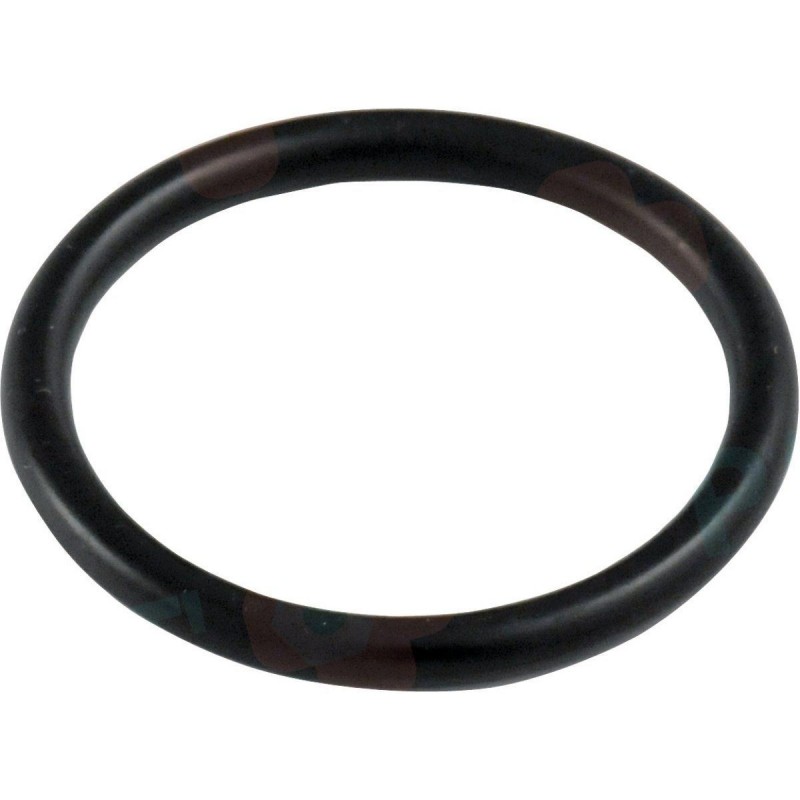 Ariston joint O-ring  289442