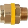 PAKTERMO PLT GAZ MANCHON FILETE DN15-1/2'M P26F101