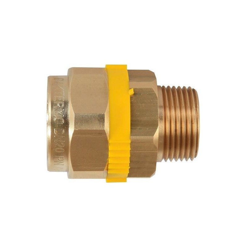 PAKTERMO PLT MANCHON FILETE DN40-6/4'M P26F121