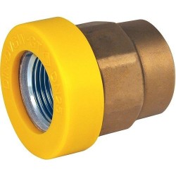 RACCORD ISOLANT SEPARATION GALVANIQUE GAZ FF 4/4' ECP100248