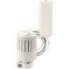Giacomini tête thermostatique plus sonde a distance liquide 2m R462X002
